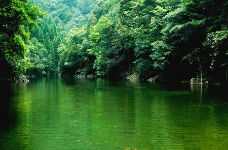 铜铃山国家森林公园介绍